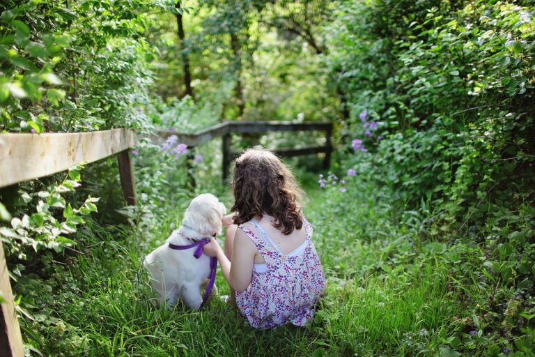 Ideeën voor in de tuin: een zomerblog